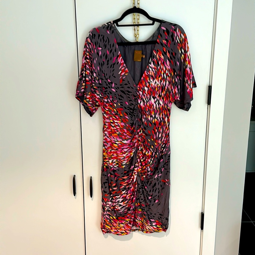 Beautiful Ali Ro Rouched Multi Color Dress